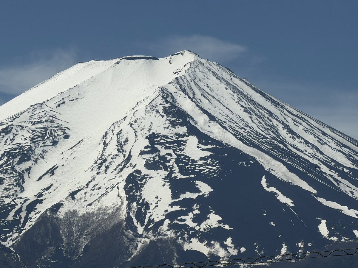 富士山コレクター大宮仁 tweet media