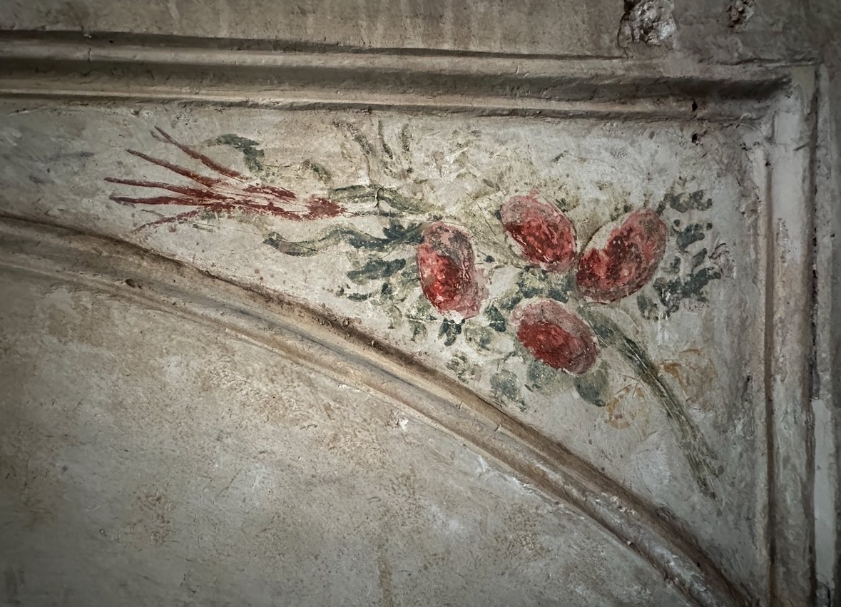 önder kaya istanbul gezgini tweet media