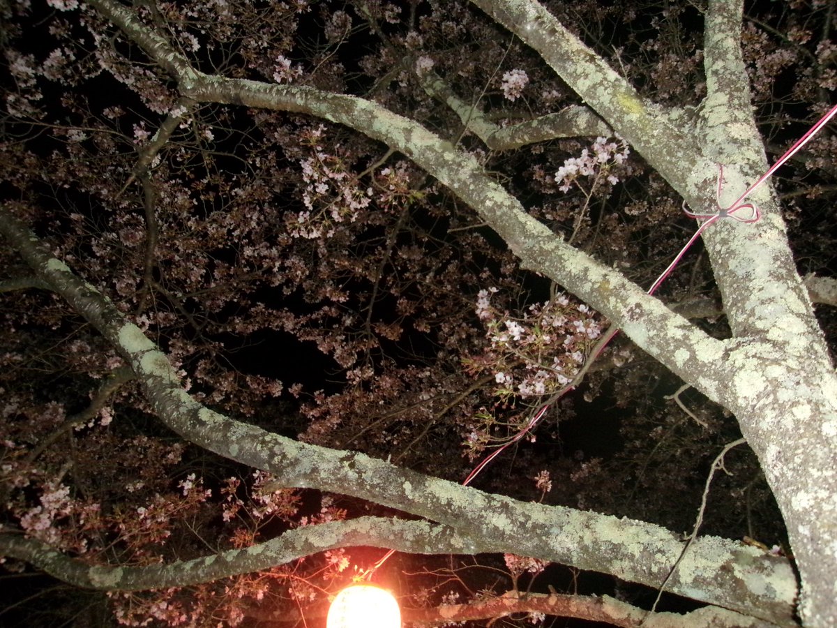 寺田心春/FCふじざくら山梨#20 tweet media