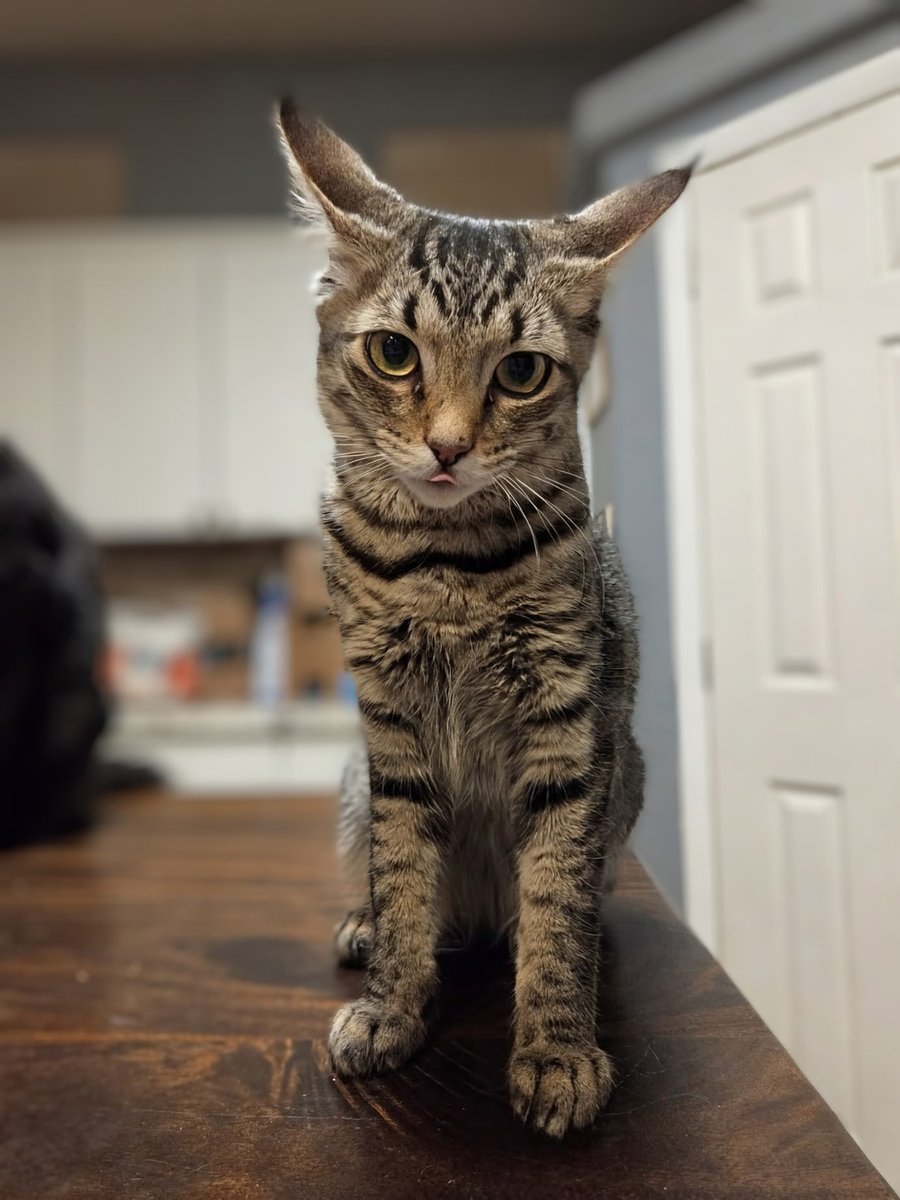 Brad's Pit tweet media