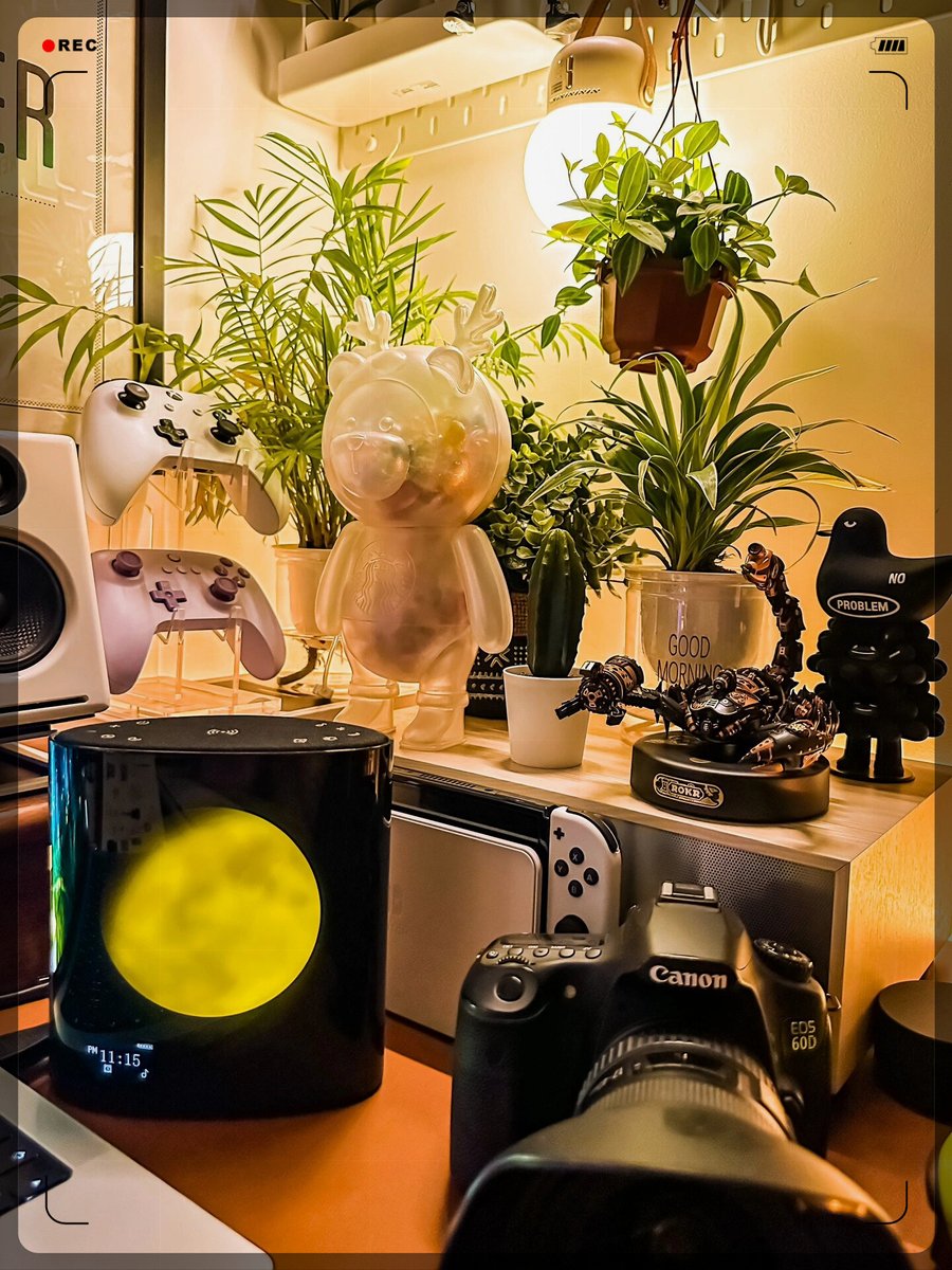 Abdulrahman tweet media