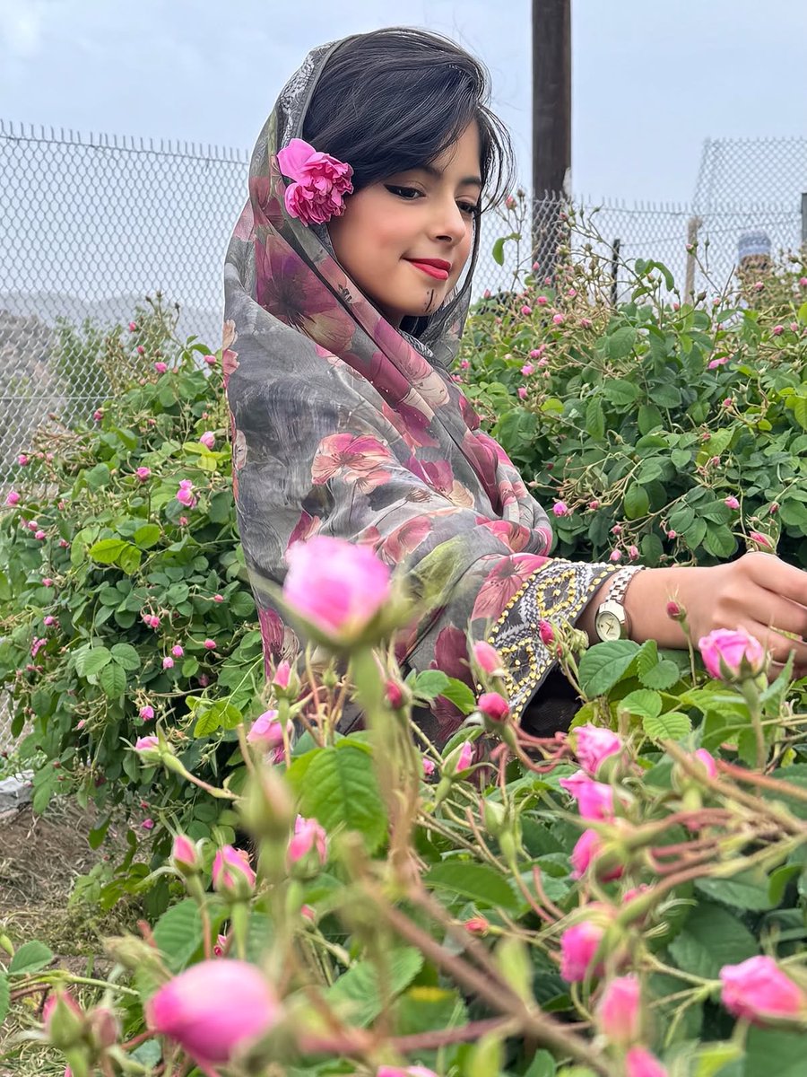 أميره البلوشيه tweet media