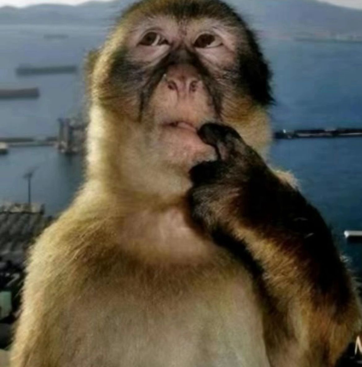 maya⁷ ﹒˚₊‧ VAI VER O BTS tweet media