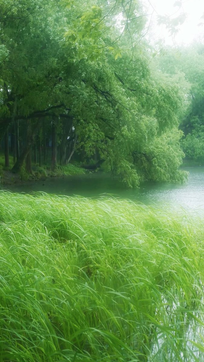 Ann（互fo互赞） tweet media