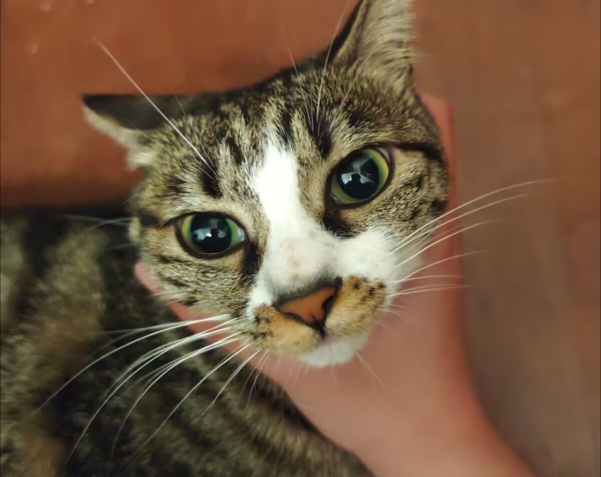 mocaccc's tweet photo. 干什么😾 https://t.co/uzkdNsgGRO