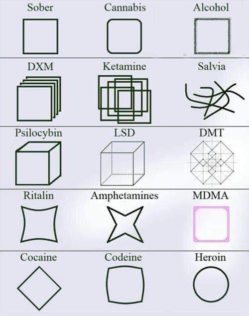 👾 𝐀𝐥𝐢𝐞𝐧𝐬 & 𝐏𝐬𝐲𝐜𝐡𝐞𝐝𝐞𝐥𝐢𝐜𝐬 🌵 tweet media