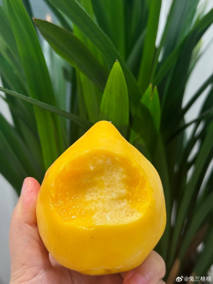 krista mitchell tweet media