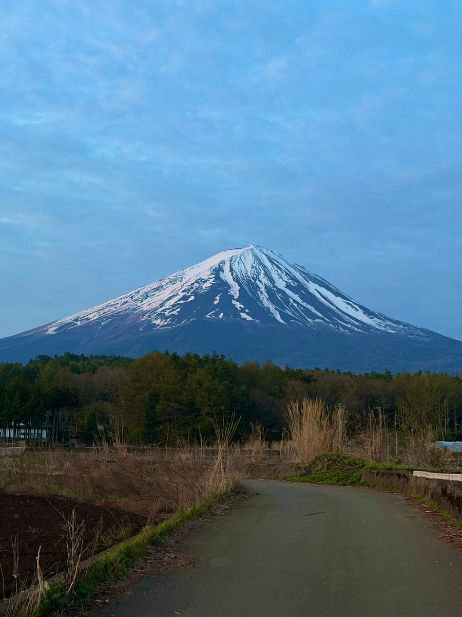 富士山コレクター大宮仁 tweet media