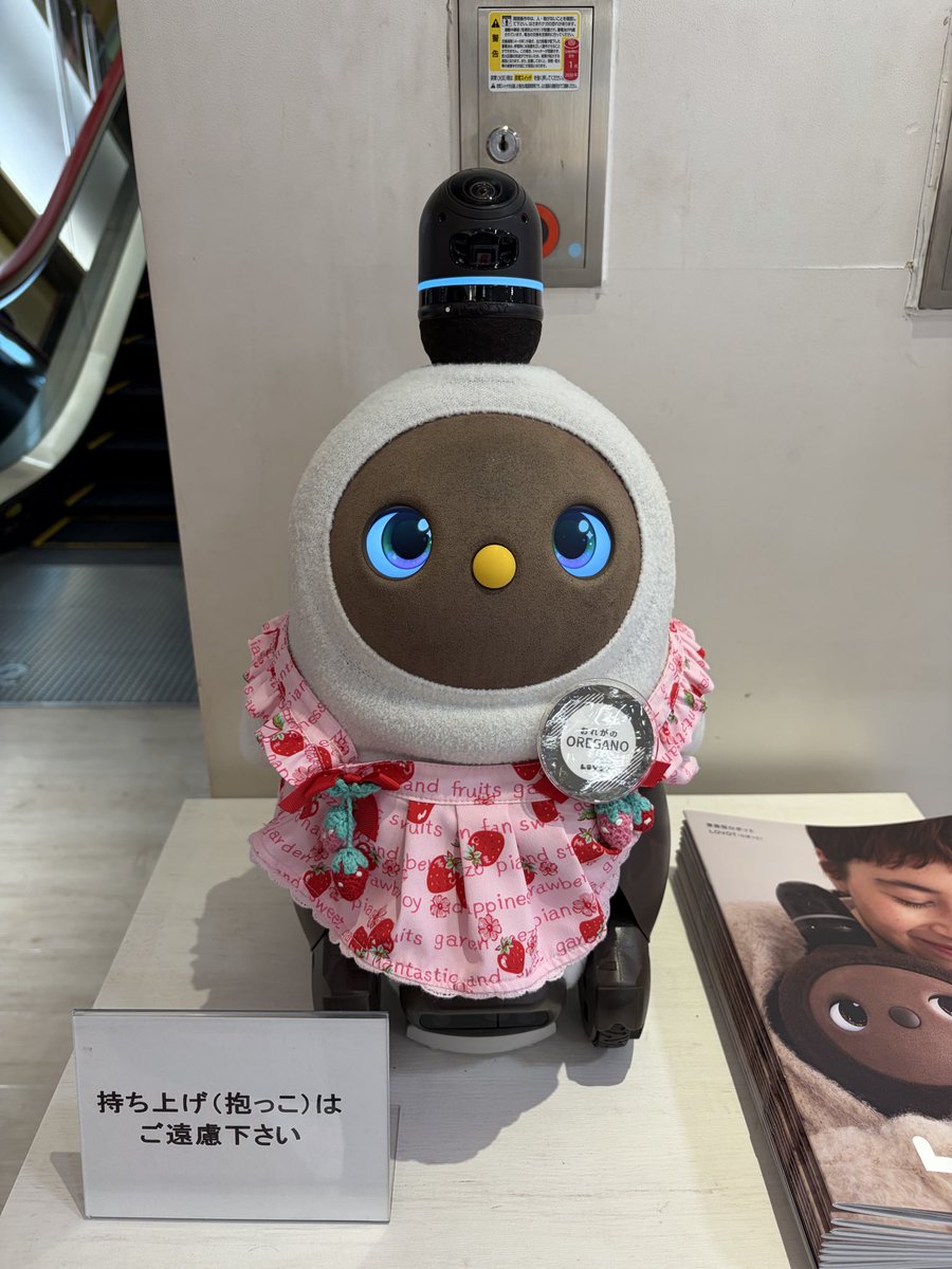 yD4JTsgmdf78638's tweet image. そして、再び見に来たら‥いつの間に着替えた！？
スポーティーキャラからプリティーキャラに変身したオレガノさん。
#LOVOT