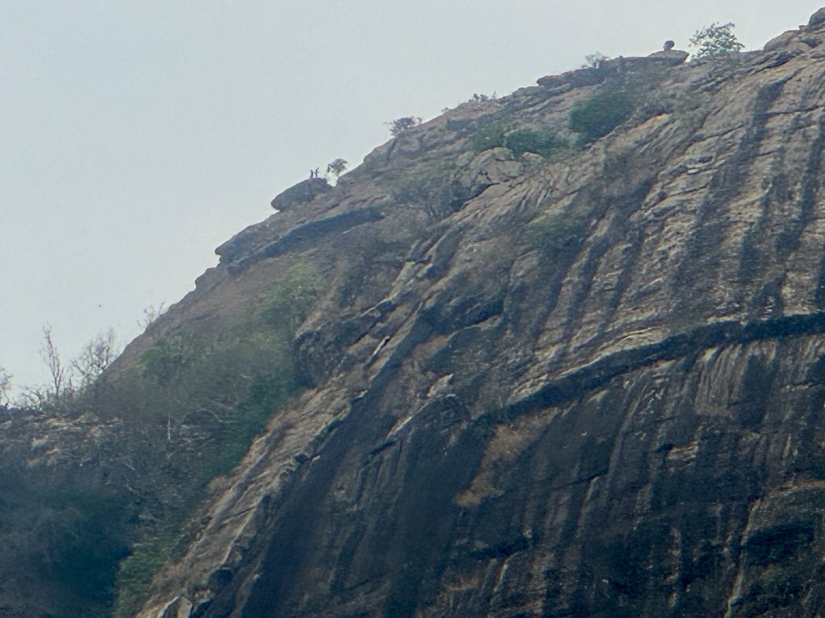 arijit dutta tweet media