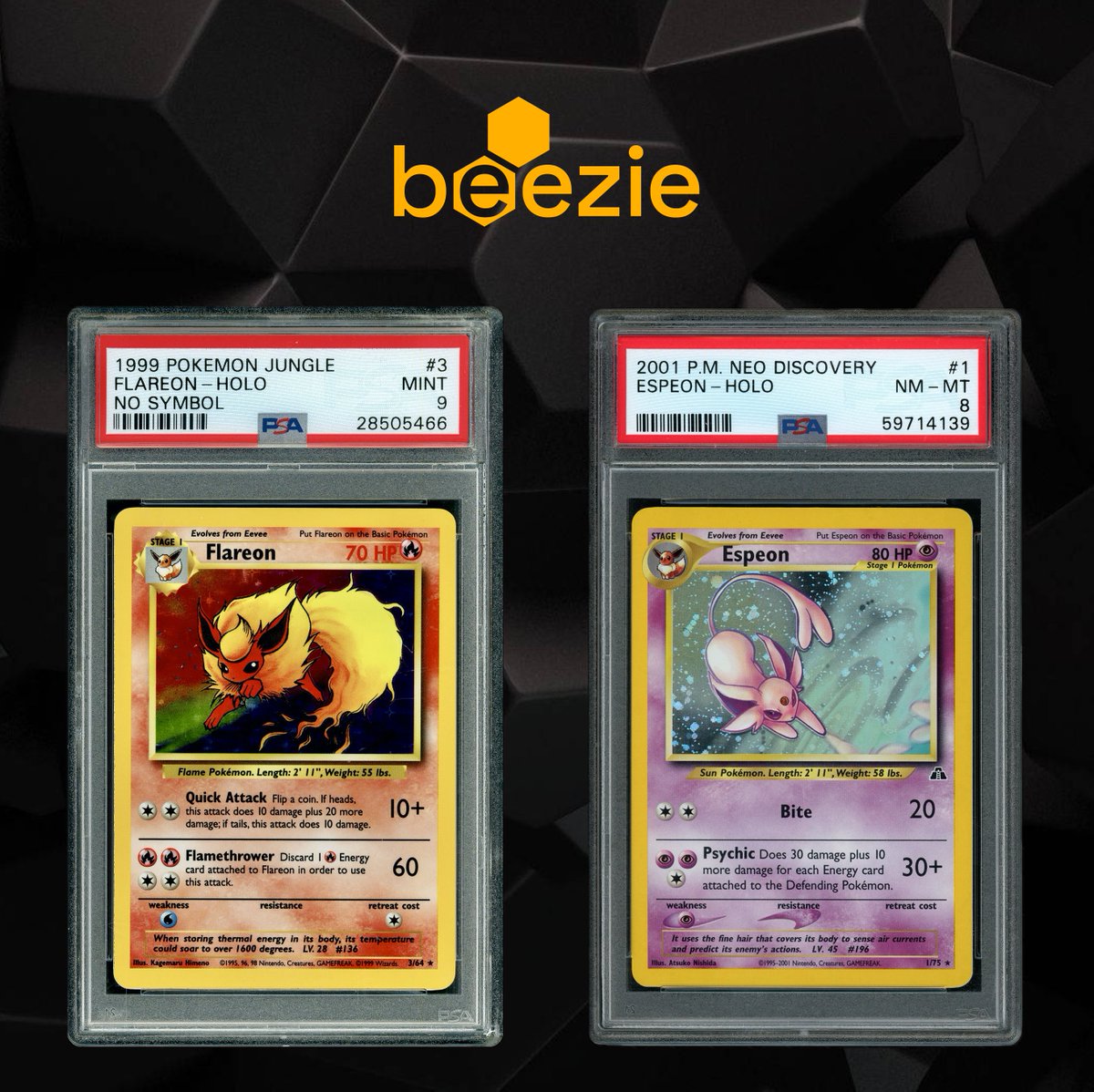 DachshundWizard 🧙‍♂️ tweet media