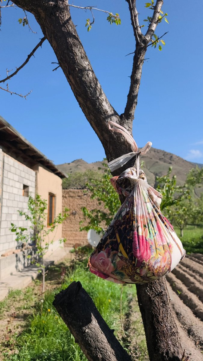 Shahnoz Sharifоva tweet media