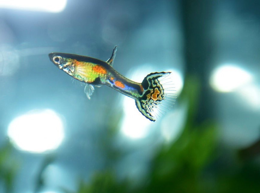 のぉん tweet media