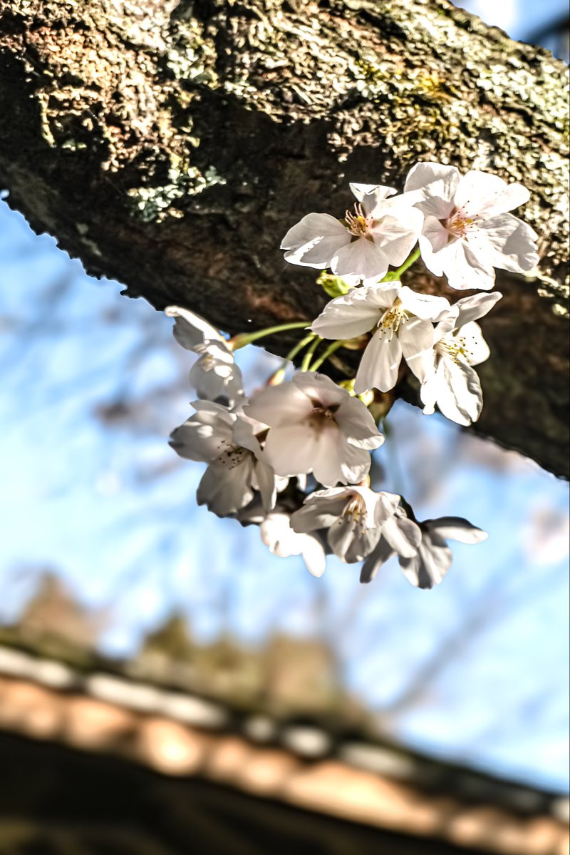 (有)美川タクシー tweet media