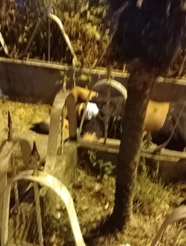 #Esmeraldas 
Así quedó el sicario que fue abatido por la policía nacional tras cometer un ataque armado en el sector de La Tolita 2 donde murió el conductor de una moto y un menor de 4 años resultó herido al ser víctima colateral