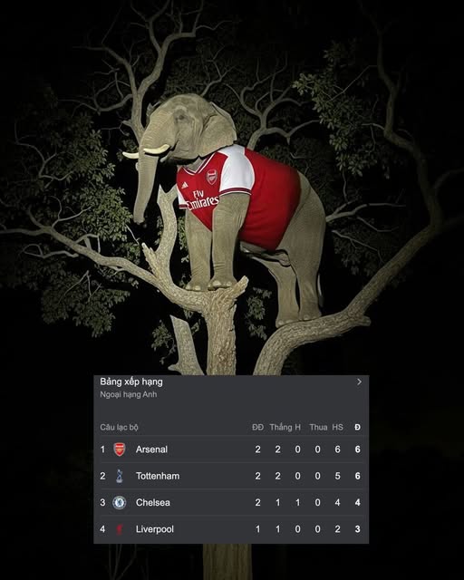 Lea Marie tweet media