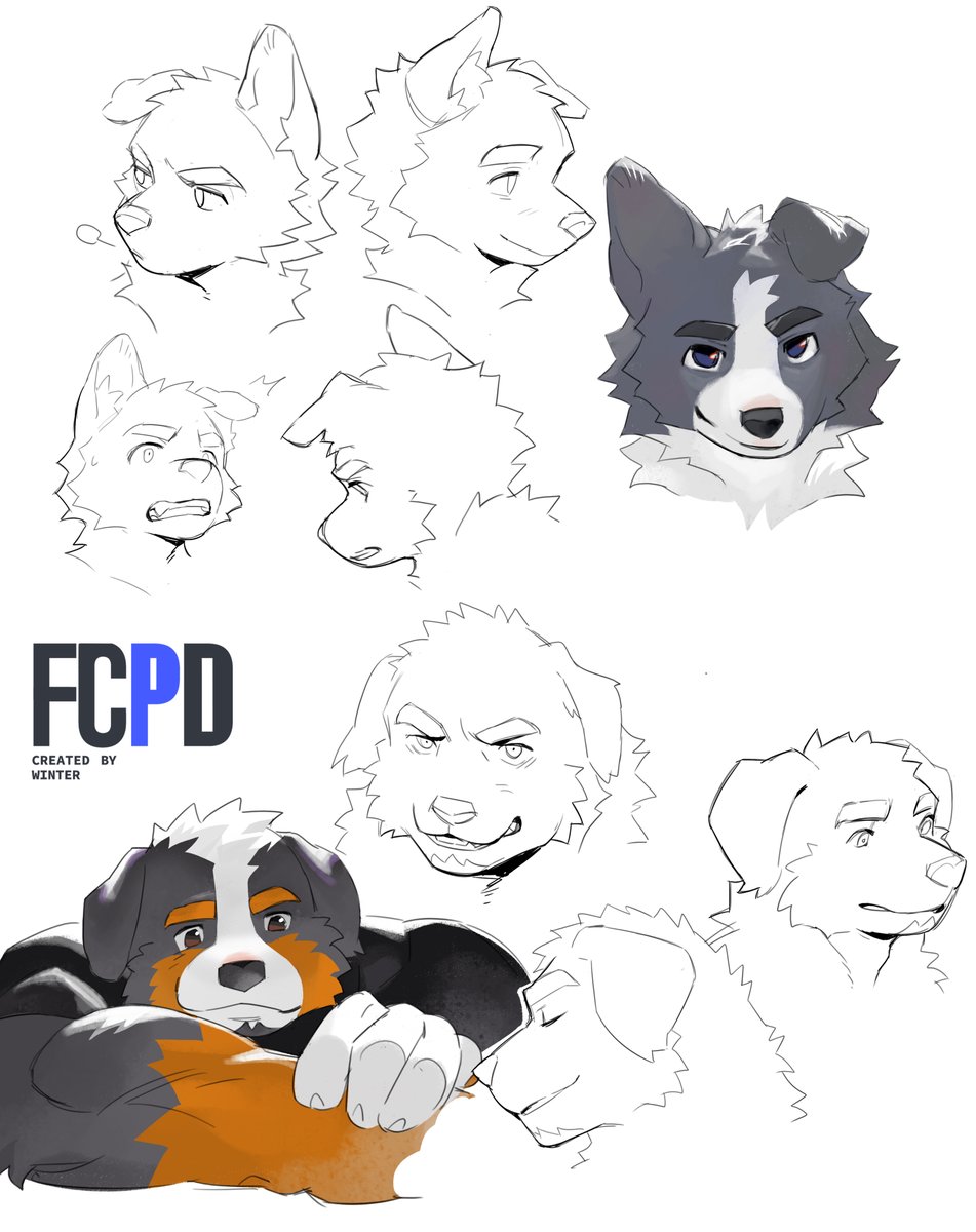N16_furry's tweet image. -FCPD- Expression practice! If you like it, likes, shares, and comments really keep me going!🥺