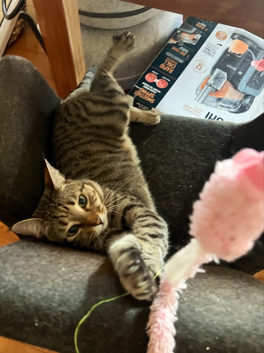 Dave Krantz tweet media