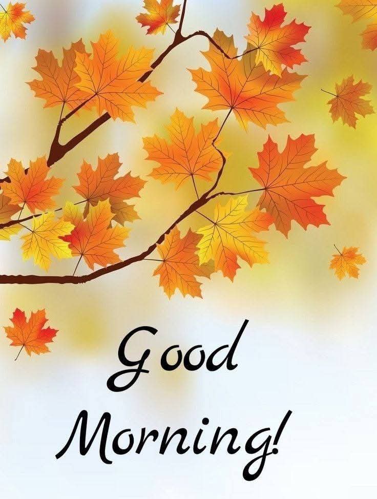 BrainnPower's tweet image. #Greetings 🦚🦚