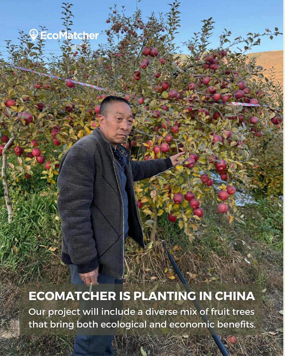 EcoMatcher tweet media