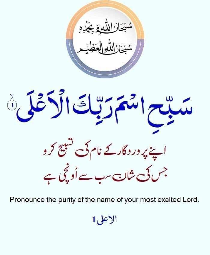 ✰𝗦𝘆𝗲𝗱 𝗦𝗼𝗵𝗮𝗶𝗹 PTI✰ tweet media