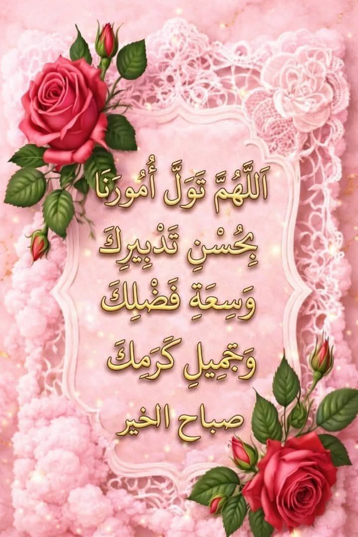 أبو معتز الابراهيم tweet media