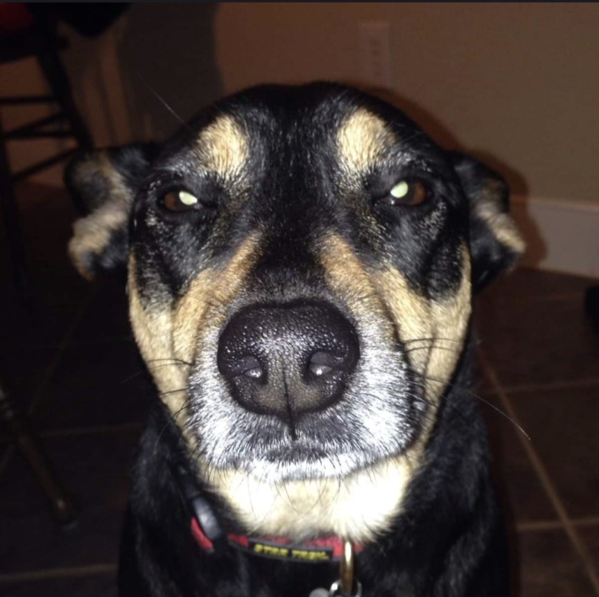 AlucinationsArtworks tweet media