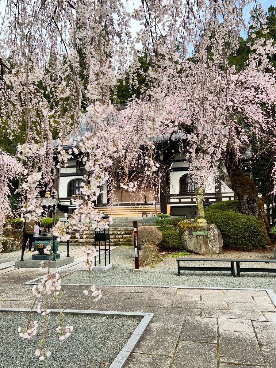 信州上田観光協会【公式】 tweet media