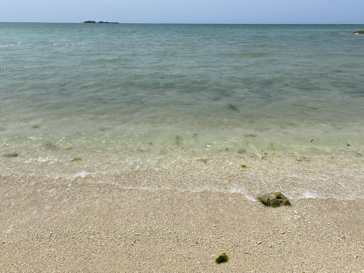 るかなそ tweet media