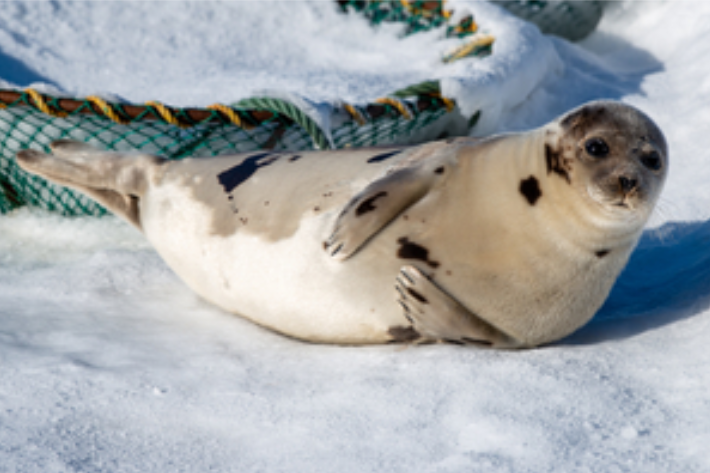 Lithium~💞🤍 tweet media