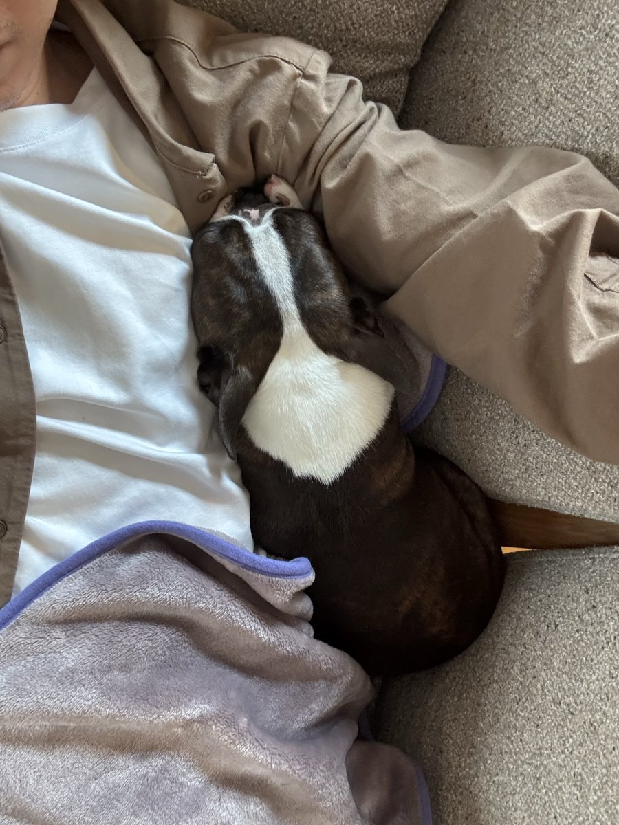 Boston にこ tweet media