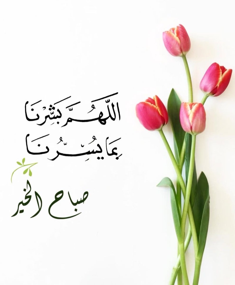 حمد الشحي tweet media