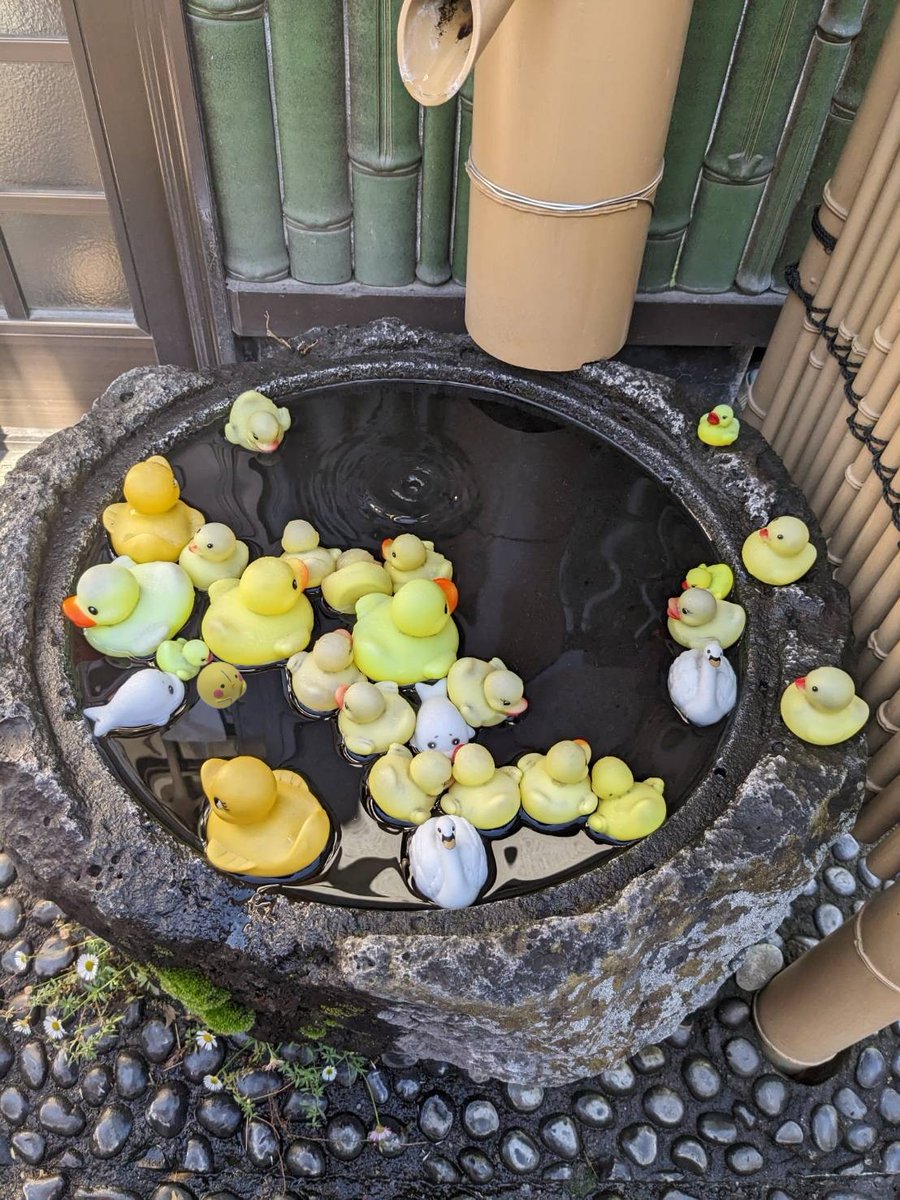 GalaxyBooks公式🐥📚 tweet media