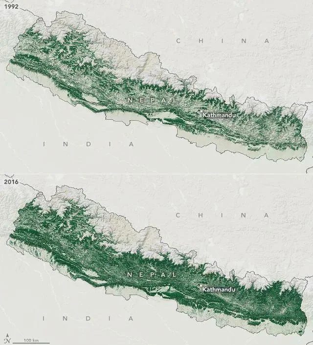 Nepal has almost doubled its forest coverage since the early 90s