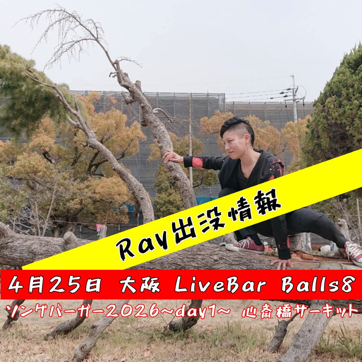 Ray_cajon🔥淡路島カホンの人 tweet media