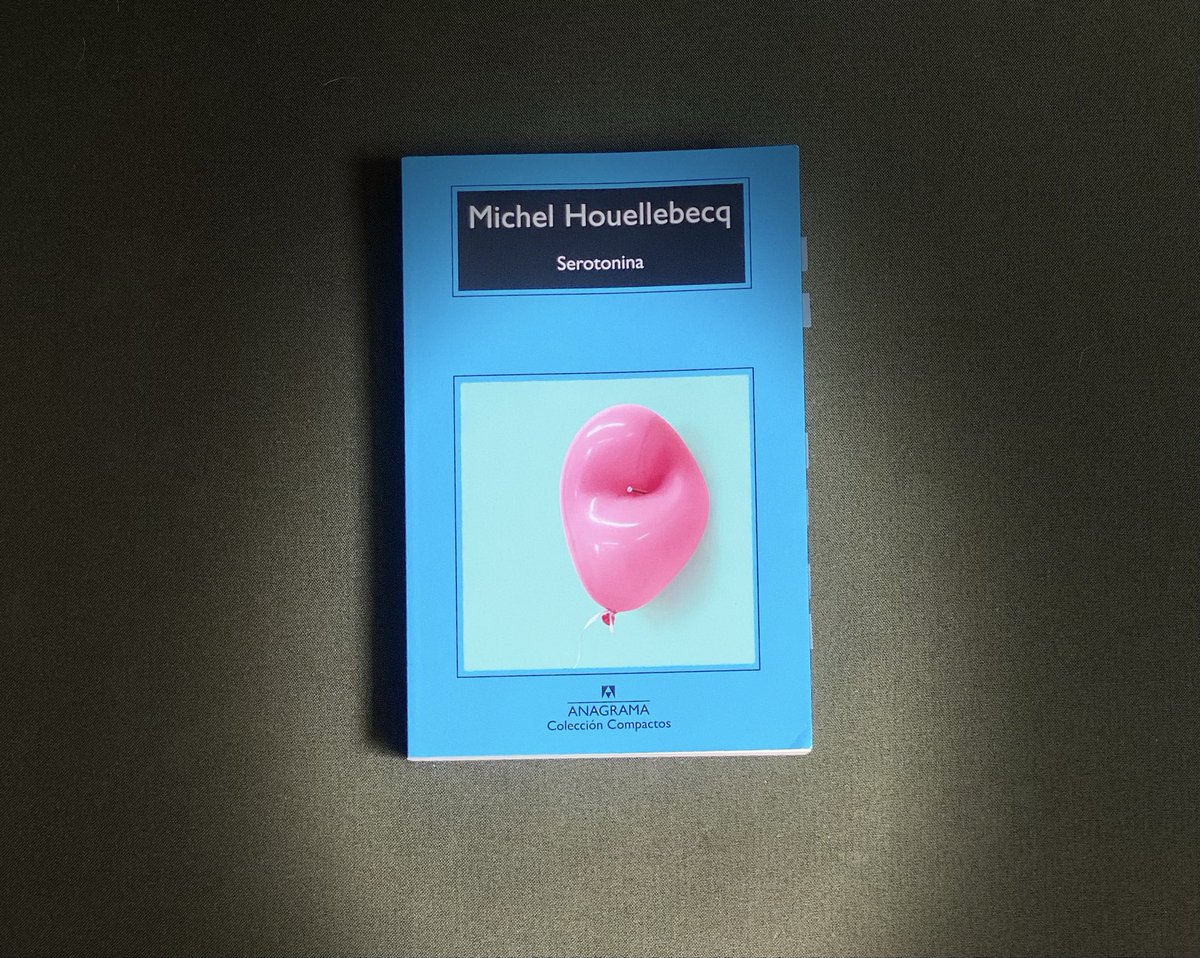 Flor de papel tweet media