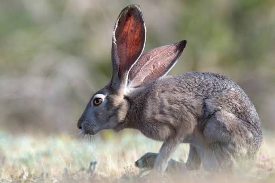 이게 아니라                       이거같은데