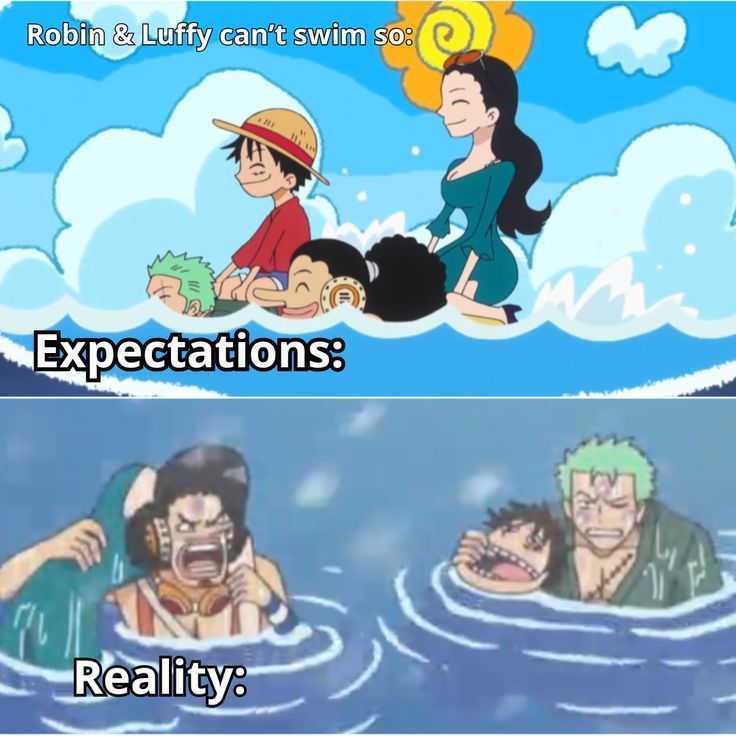 One Piece Daily (@opdaiiy) on Twitter photo 