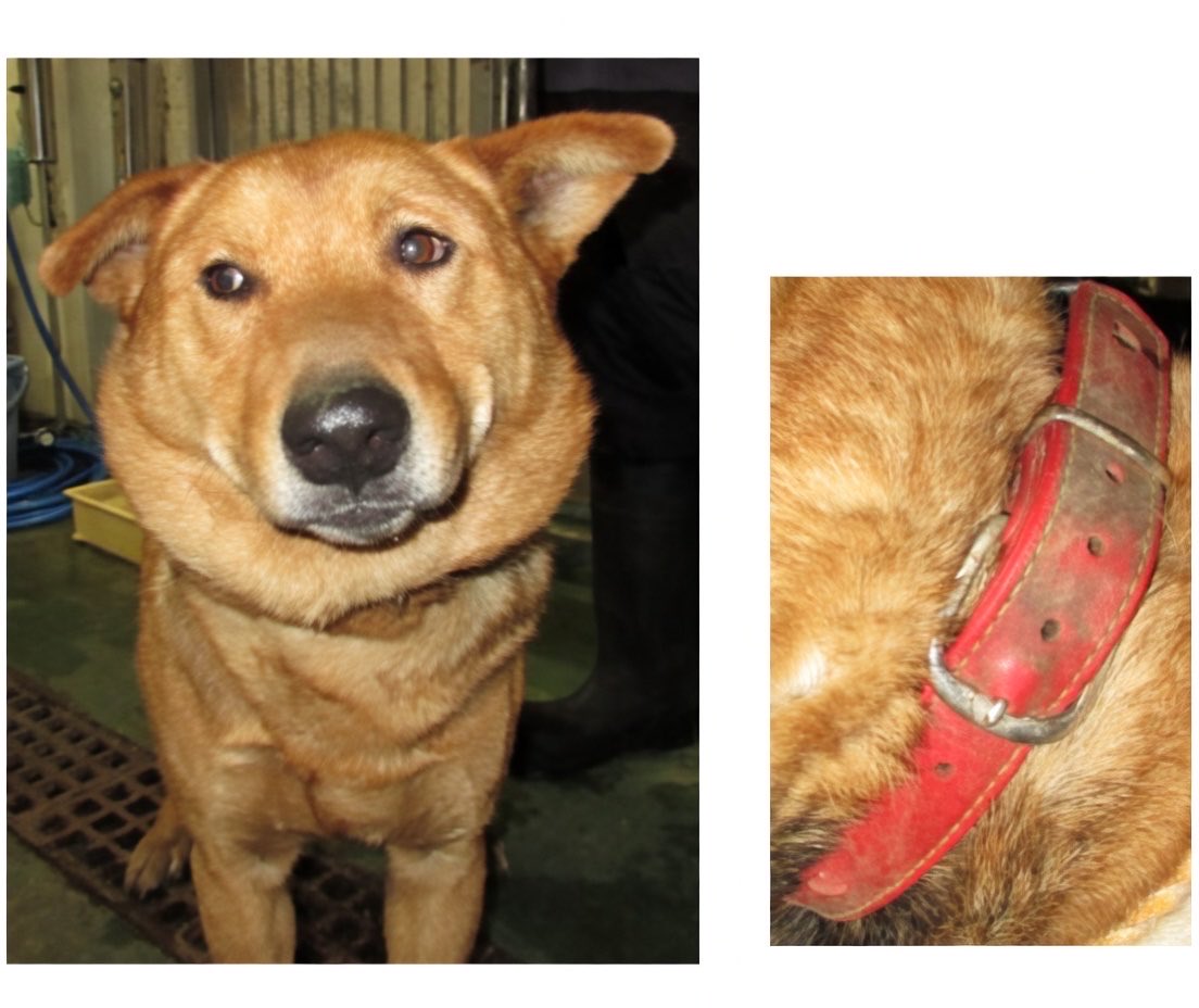 ヘタレ福祉職員@痛恨のヤメルヤメル詐欺 tweet media