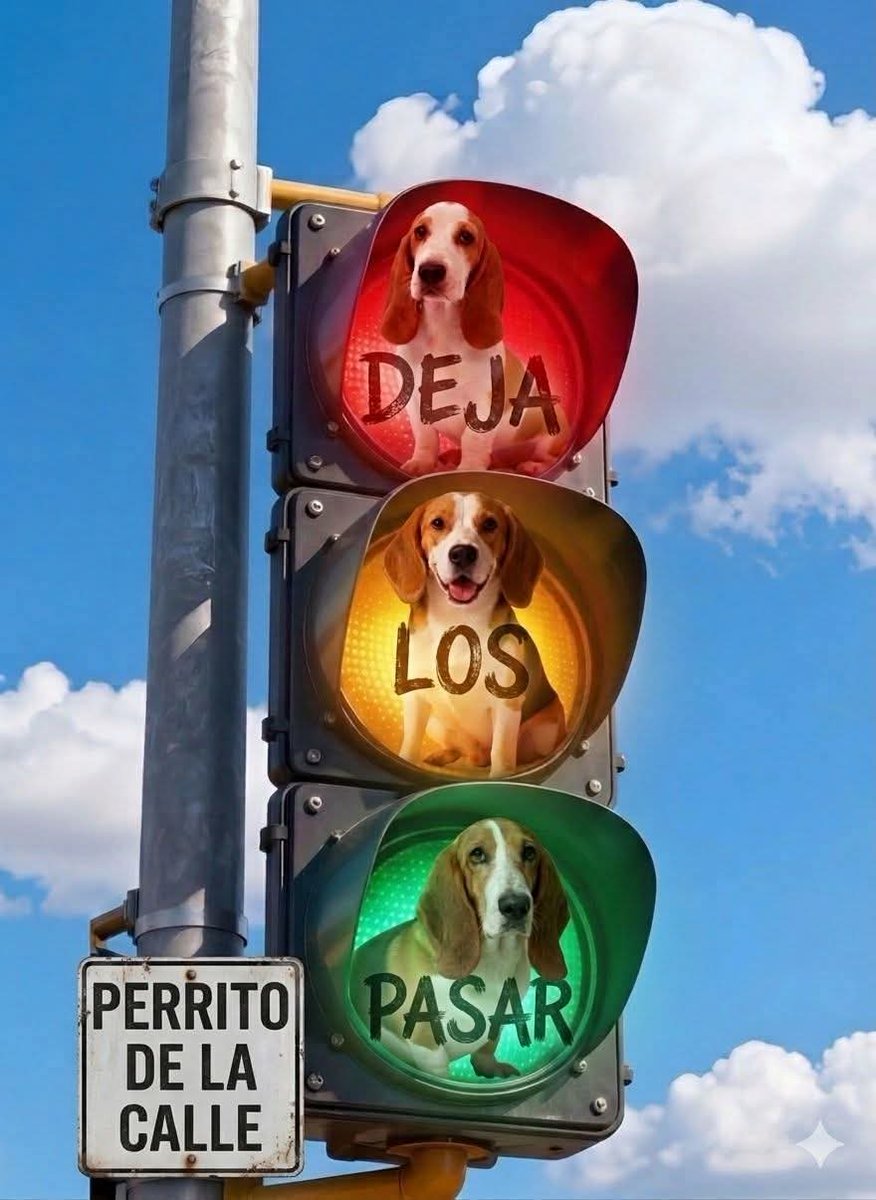 Guadalupe Ramirez tweet media