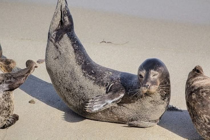 toroIuvr's tweet image. i stay #winning