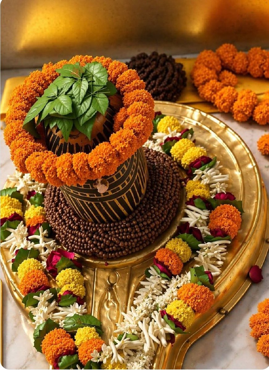 Survi Rawat tweet media