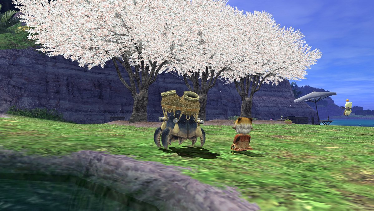 ひまわり tweet media