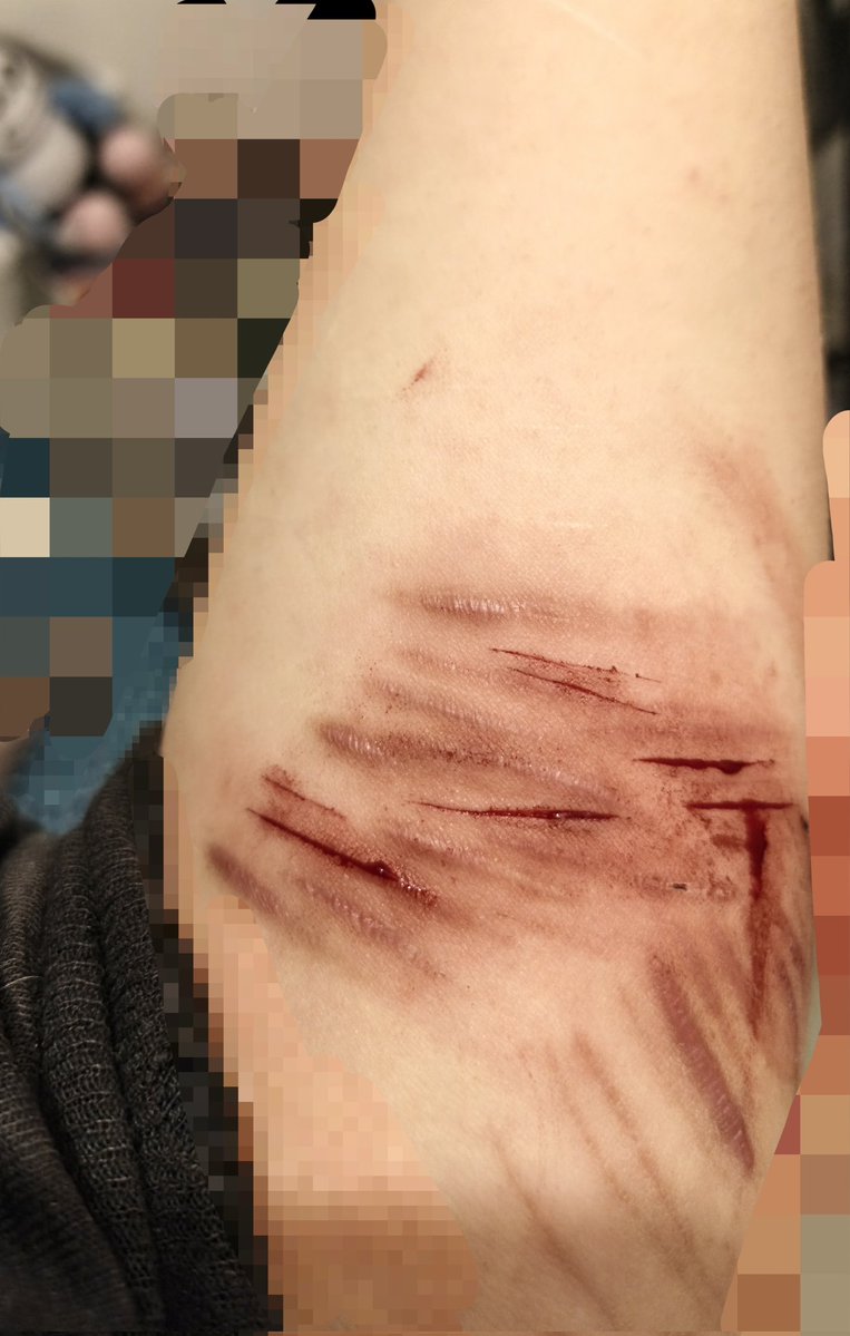 Paoruru 🪒🥣 tweet media