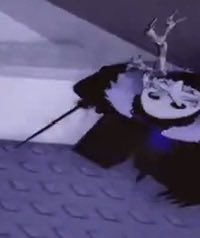 @Riverlisha tweet media