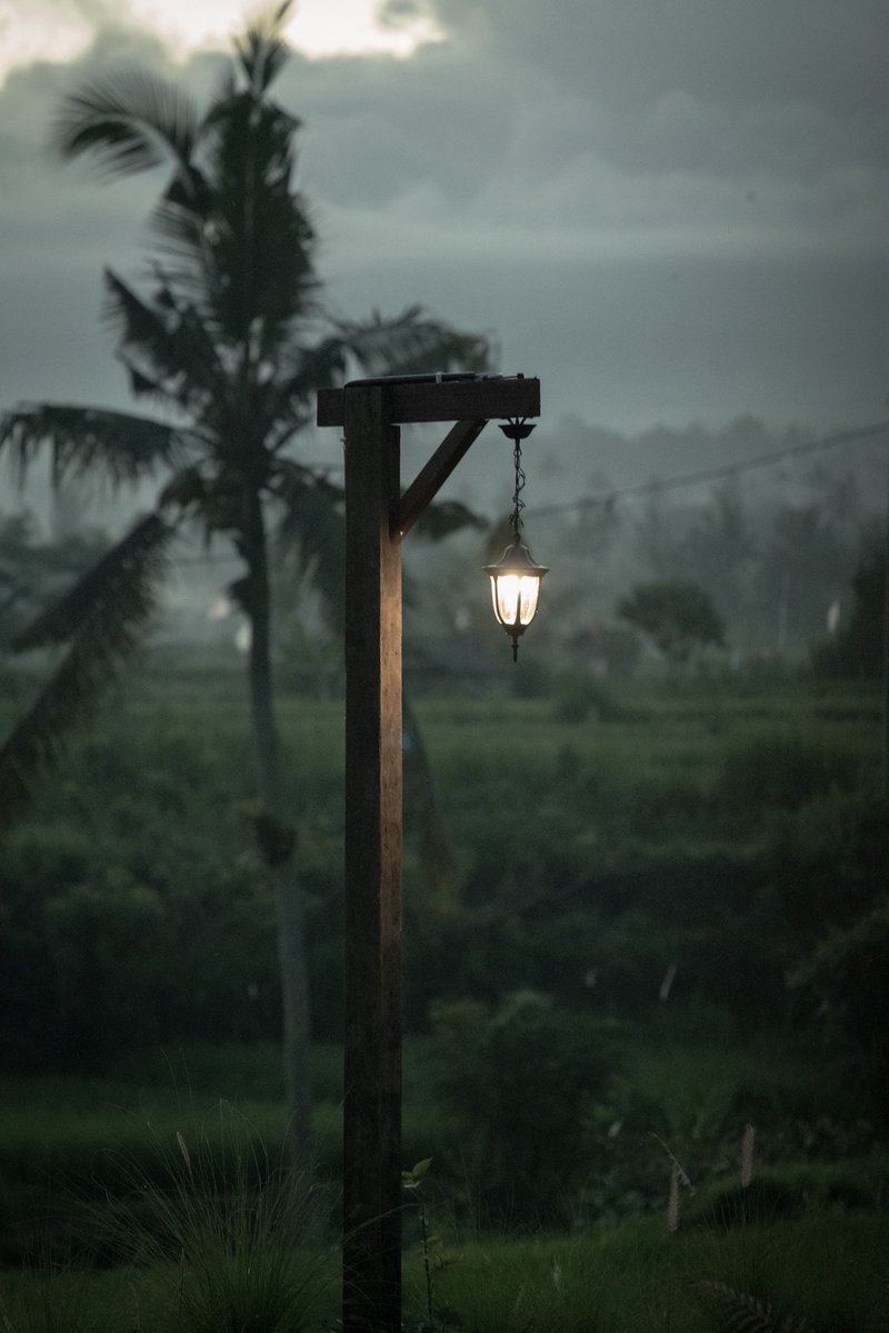 Tongos mepijet tweet media