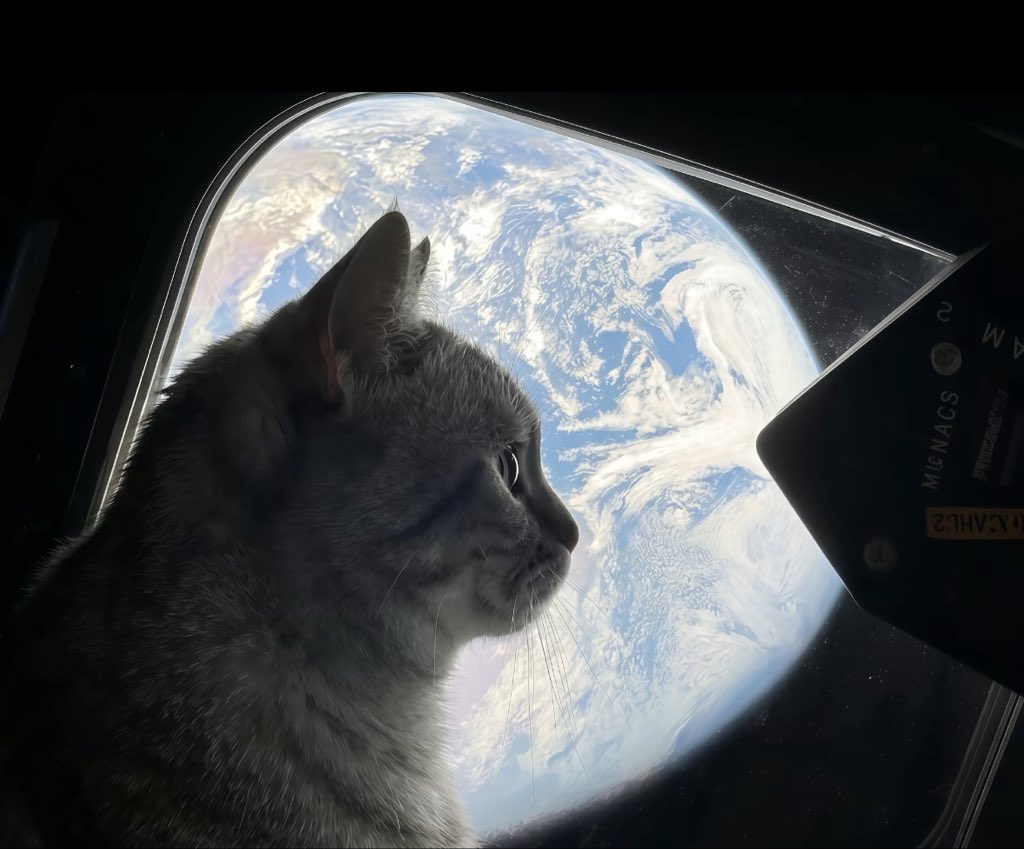 catman062107's tweet photo. mzkky https://t.co/WMkBB6XAk8