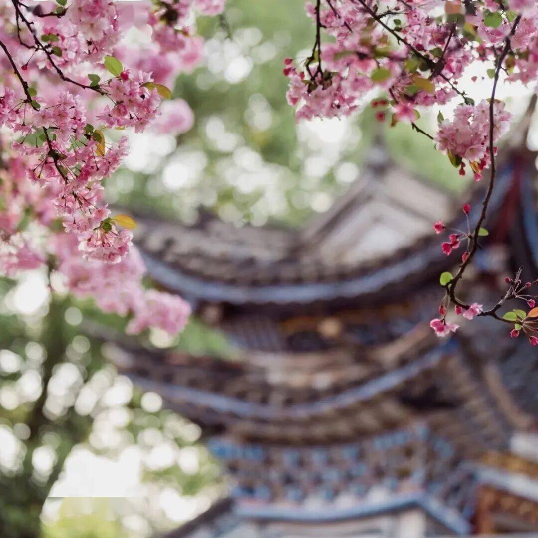 martha ames tweet media