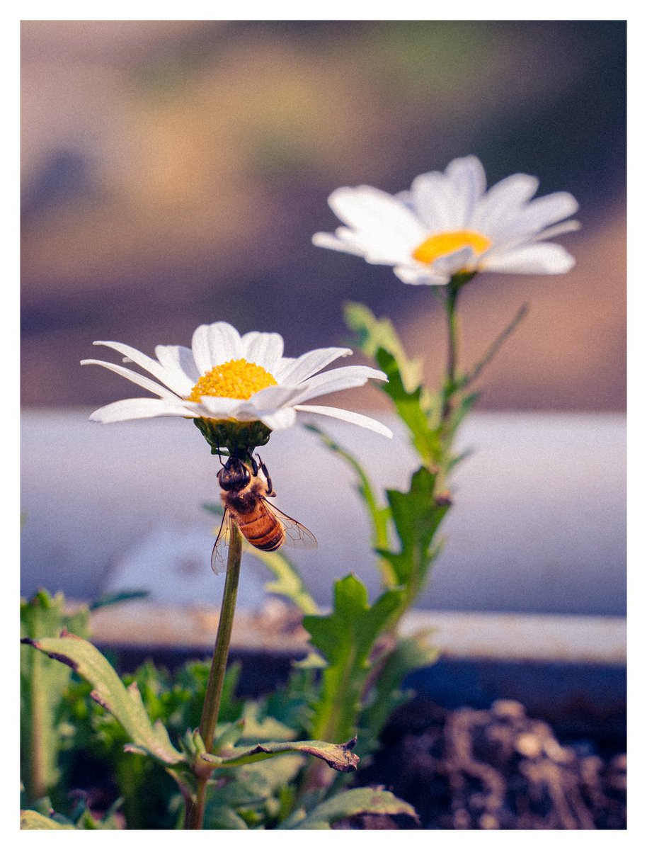 🧭☁️SILVER٩(๑❛ᴗ❛๑)۶ tweet media