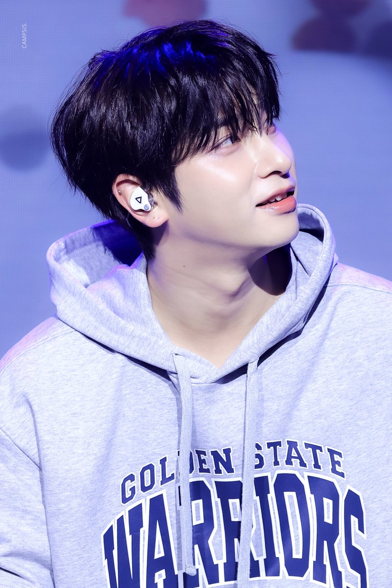 𝐂𝐀𝐌𝐏𝐒𝐈𝐒ꕤ tweet media